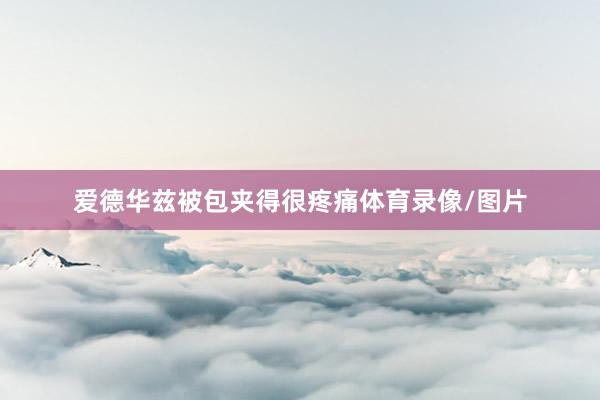 爱德华兹被包夹得很疼痛体育录像/图片
