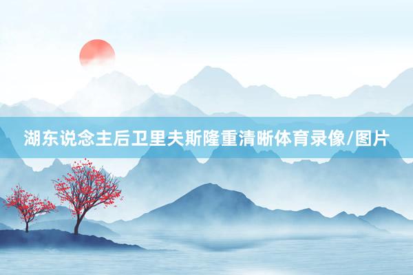 湖东说念主后卫里夫斯隆重清晰体育录像/图片