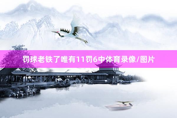 罚球老铁了唯有11罚6中体育录像/图片