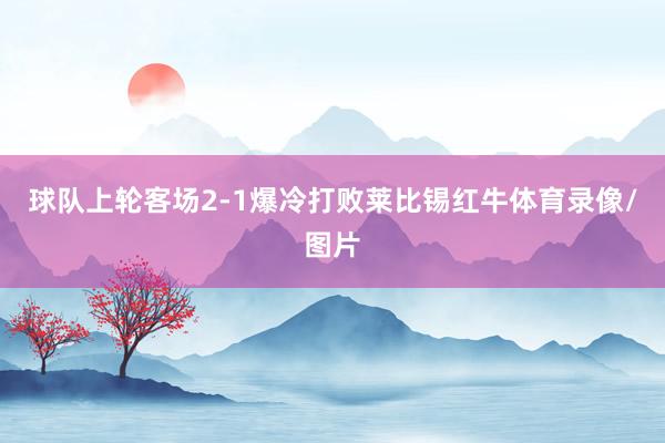 球队上轮客场2-1爆冷打败莱比锡红牛体育录像/图片